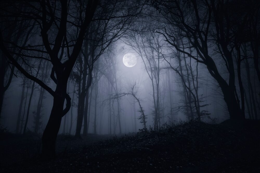 Silent Hill: Townfall - immagine del gioco